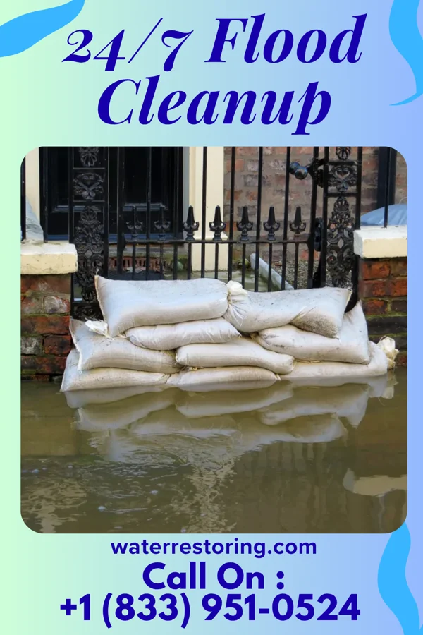 24/7 Flood Cleanup in Sans Souci, SC
