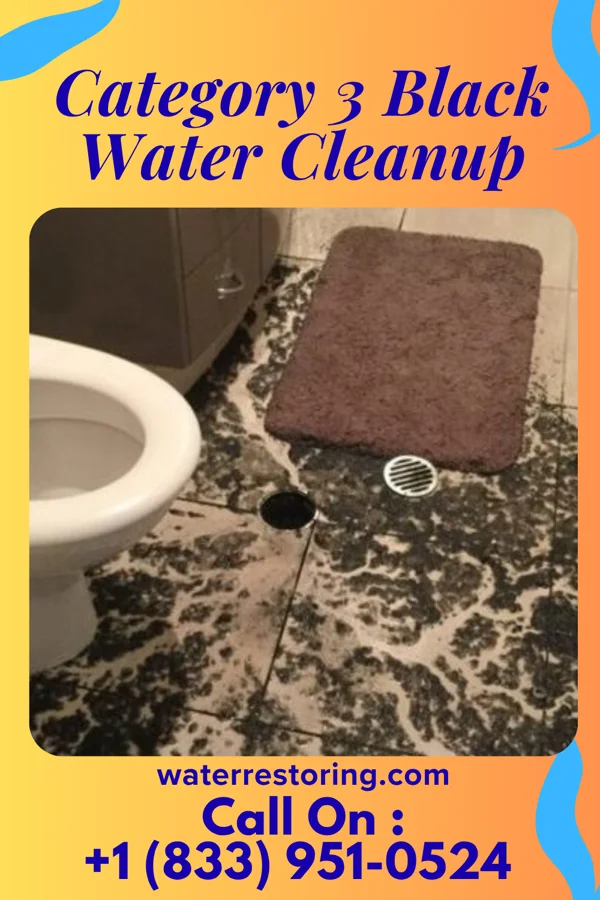 Category 3 Black Water Cleanup in Sans Souci, SC