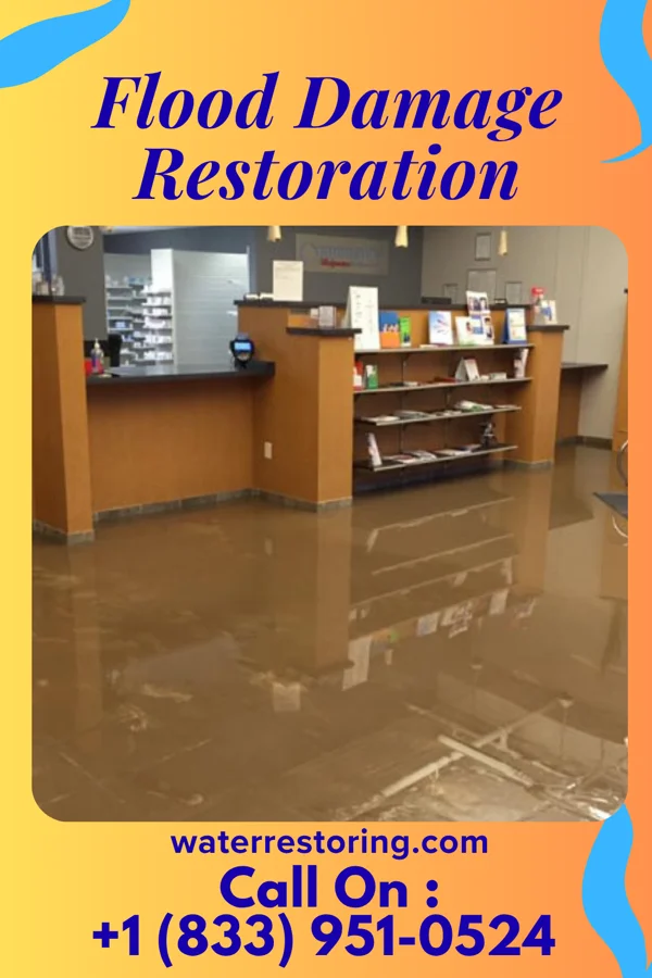 Flood Damage Restoration in Sans Souci, SC